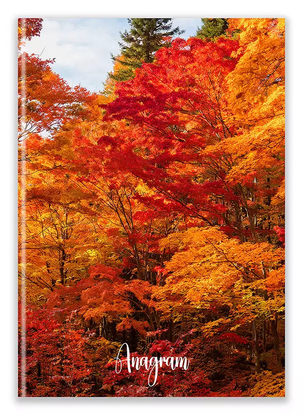 Modèle A5 : BRITTANY