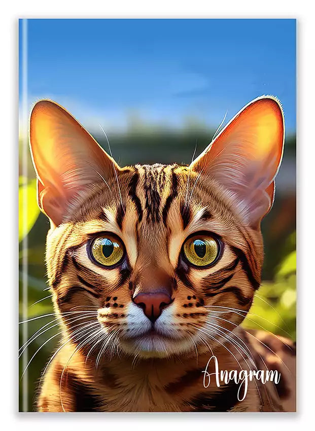 Modèle A5 : SANDRINE