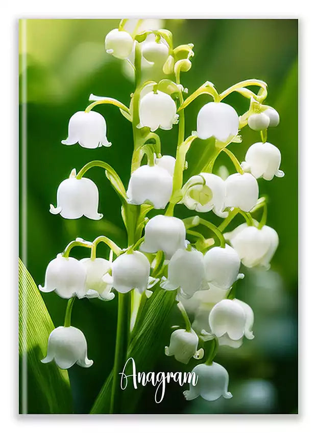 Modèle A5 : MAGALIE