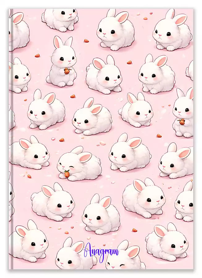 Modèle A4 : AMÉLIE