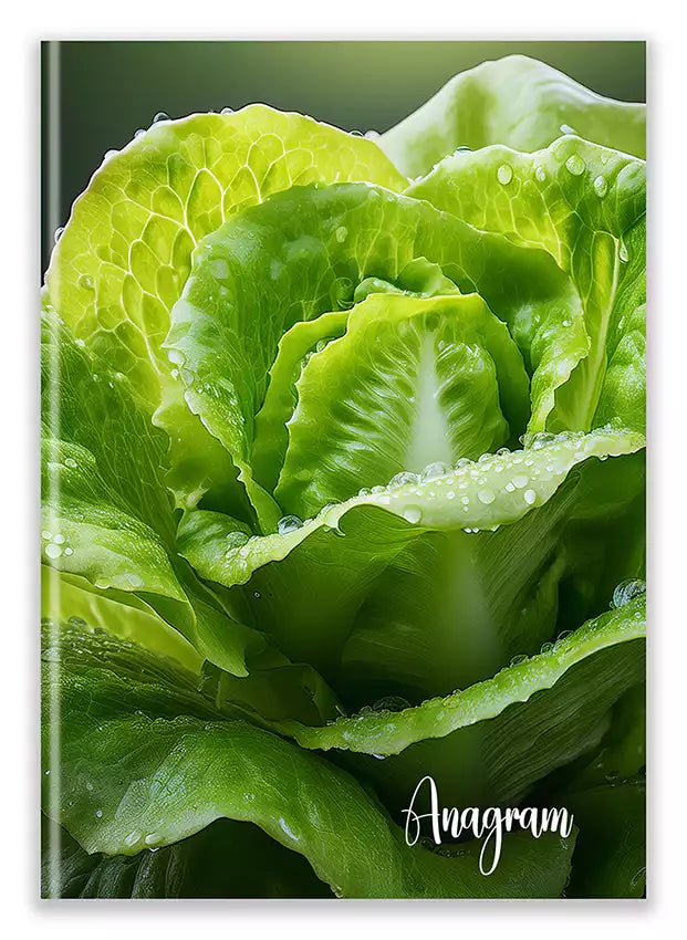 Modèle A5 : KATELYN