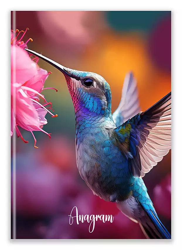 Modèle A5 : PENELOPE