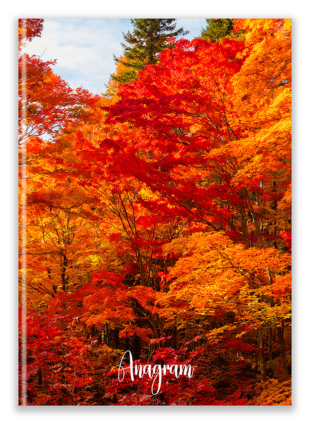 COLLECTION NATURE / A5 - BRITTANY