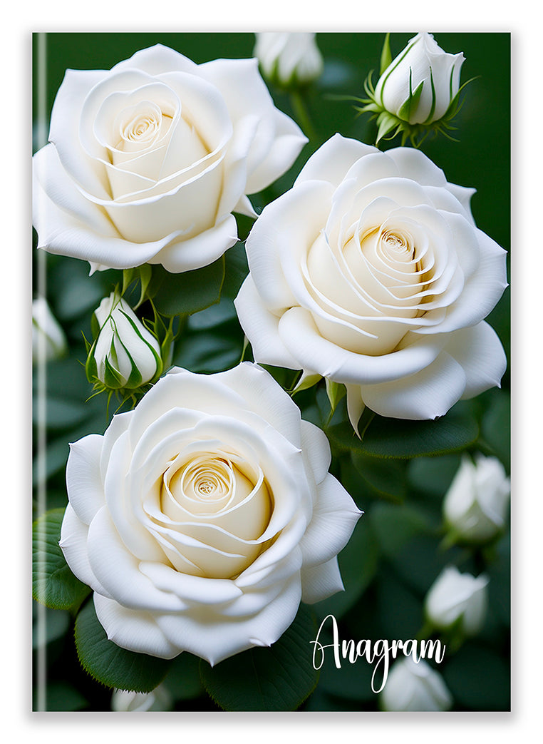 COLLECTION NATURE / A5 - AMBER