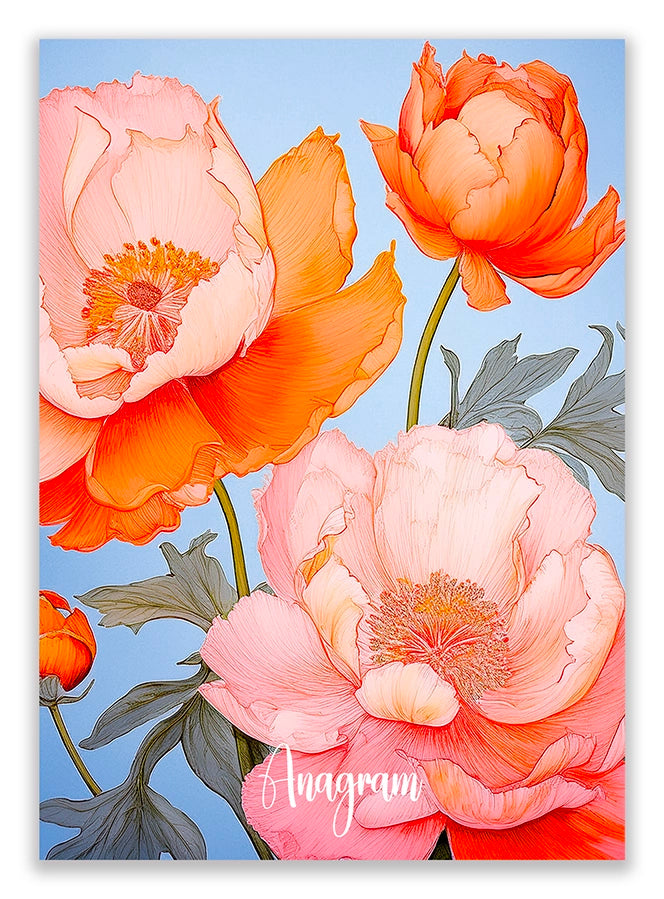 Modèle A5 : BERTILLE