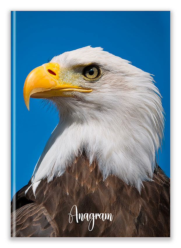 COLLECTION NATURE / A5 - HILDA