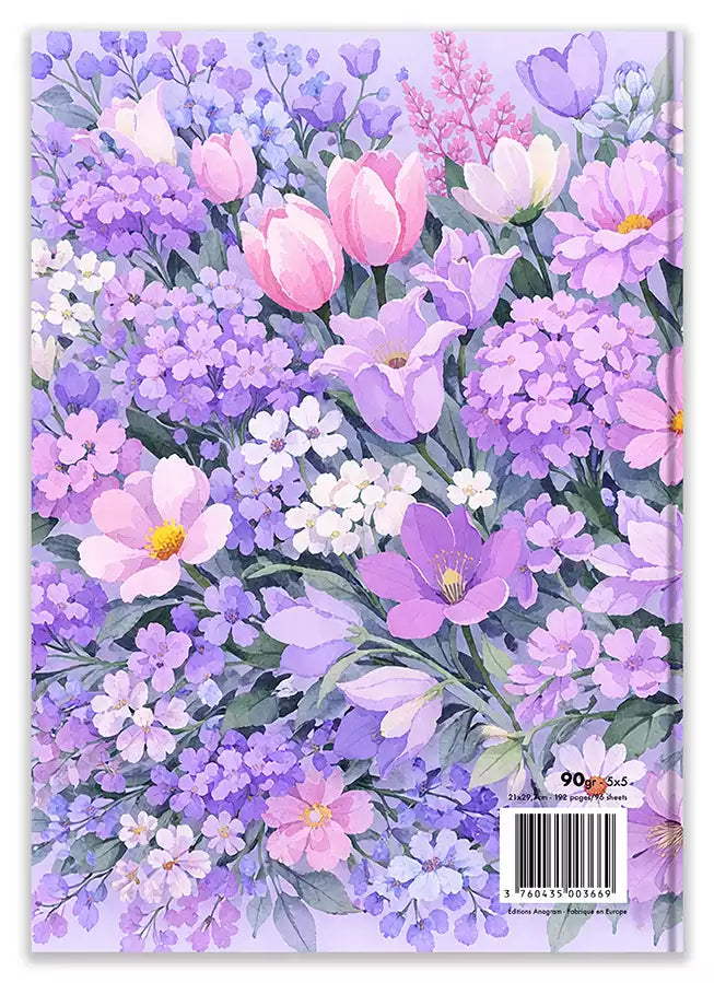 Modèle A4 : ÉLOÏSE