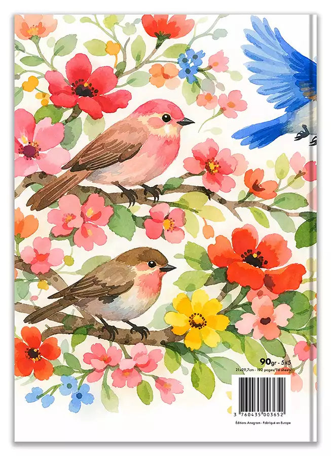 Modèle A4 : CLÉMENTINE