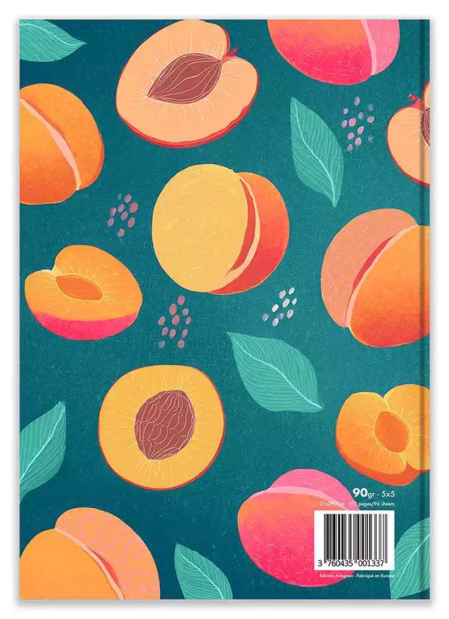 Modèle A4 : CÉLESTE