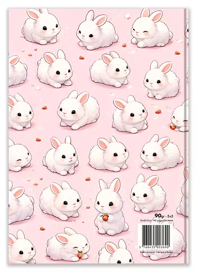 Modèle A4 : AMÉLIE