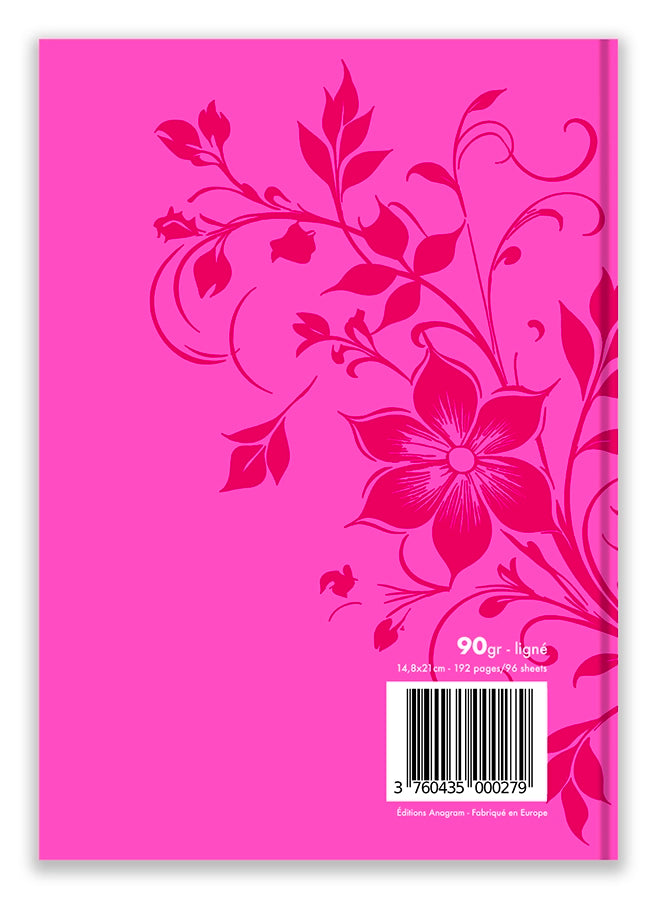 Modèle A5 : CHEYENNE