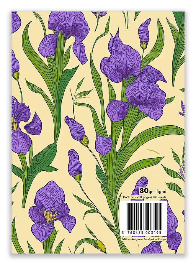 Modèle A5 : AMELINE