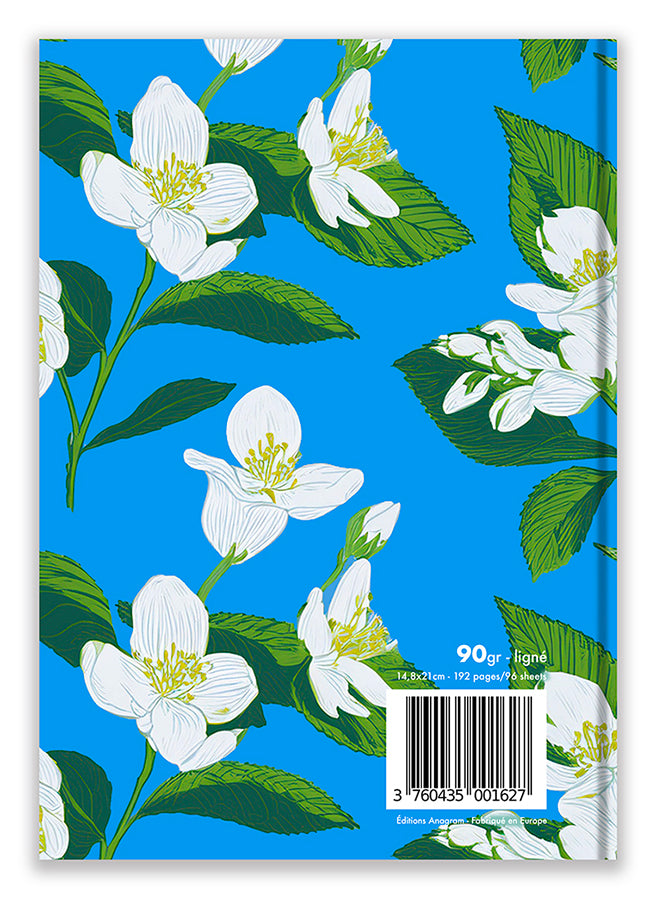 COLLECTION GENTIANE / A5 - VIOLAINE