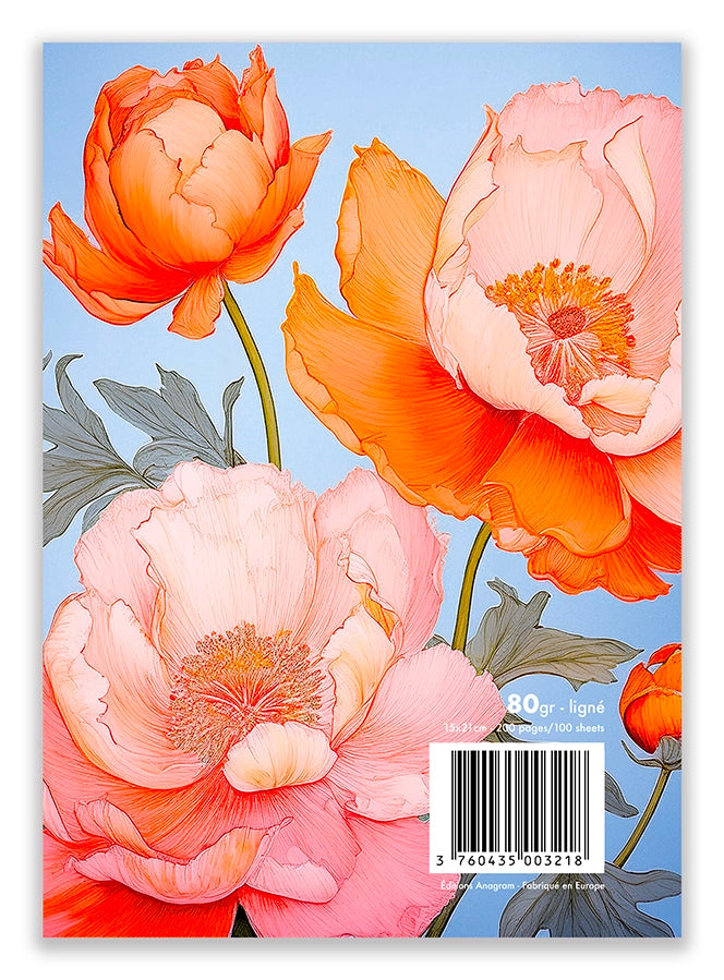 Modèle A5 : BERTILLE