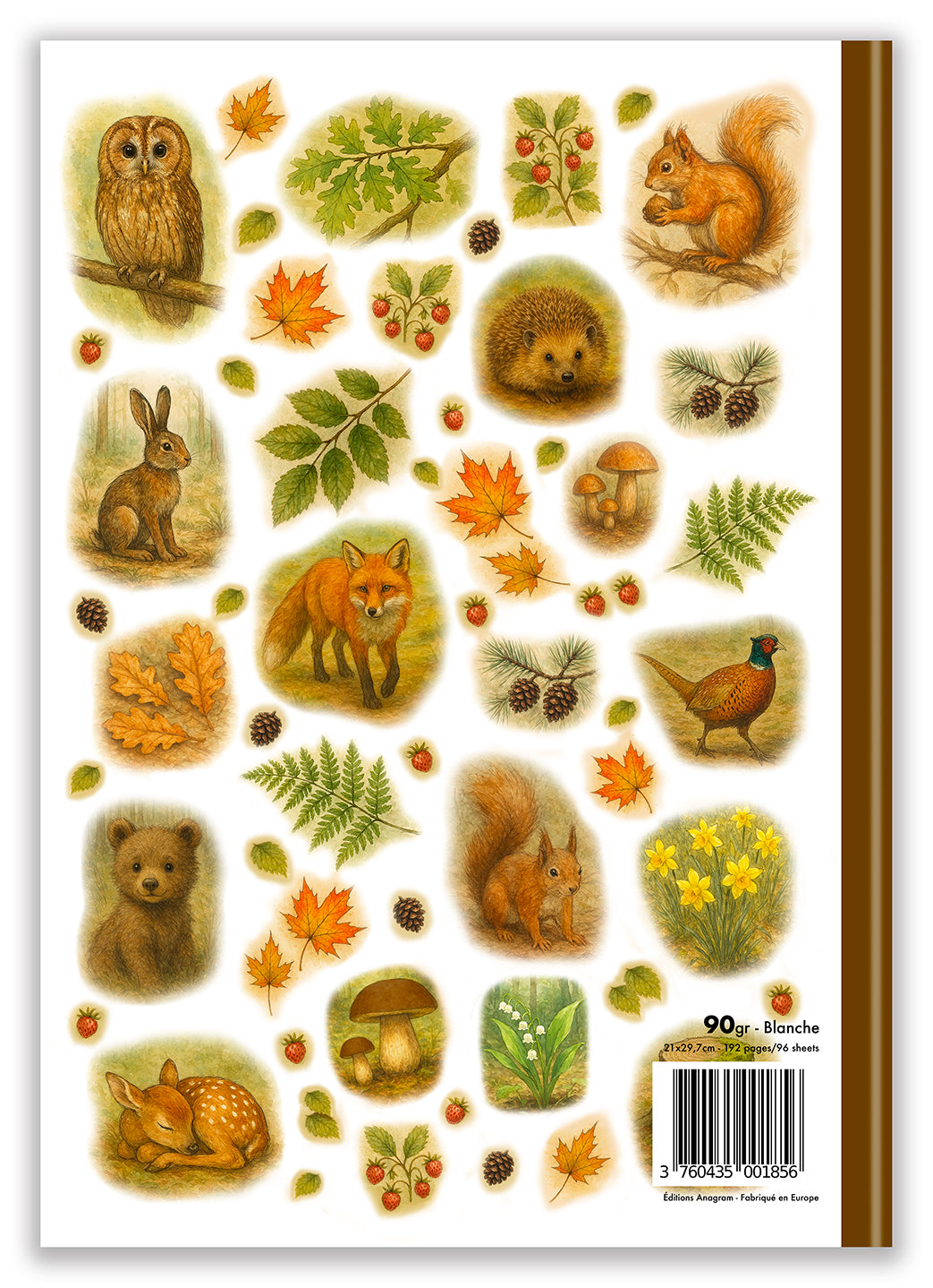 COLLECTION JASMIN / A4 - TIFFANY