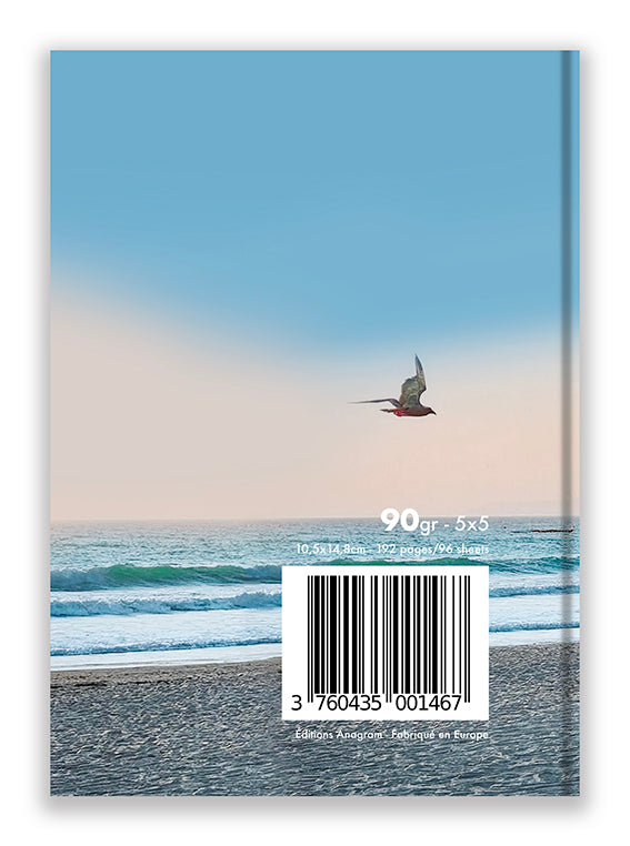 COLLECTION POCKET / A6 - SILVIA