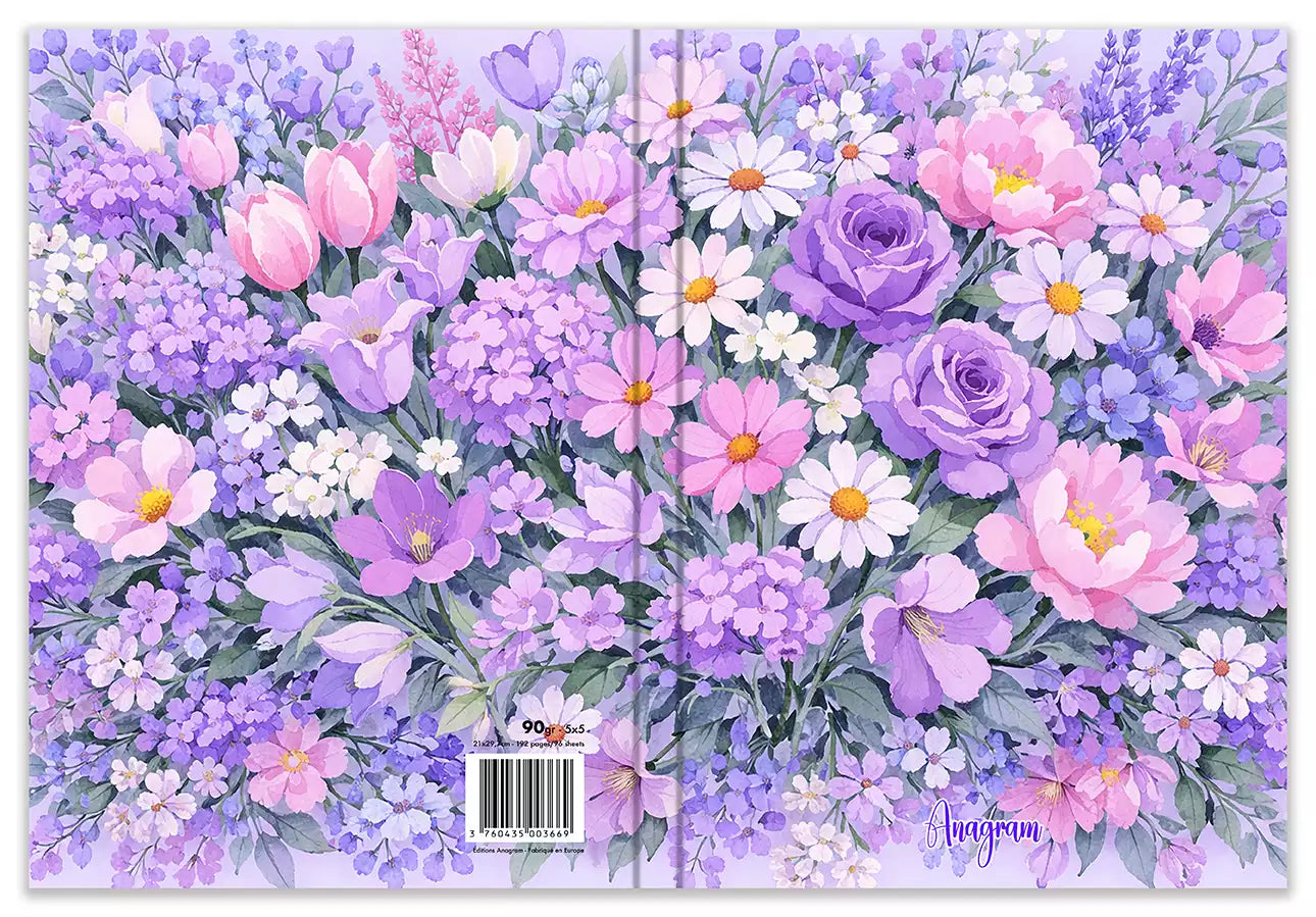 Modèle A4 : ÉLOÏSE