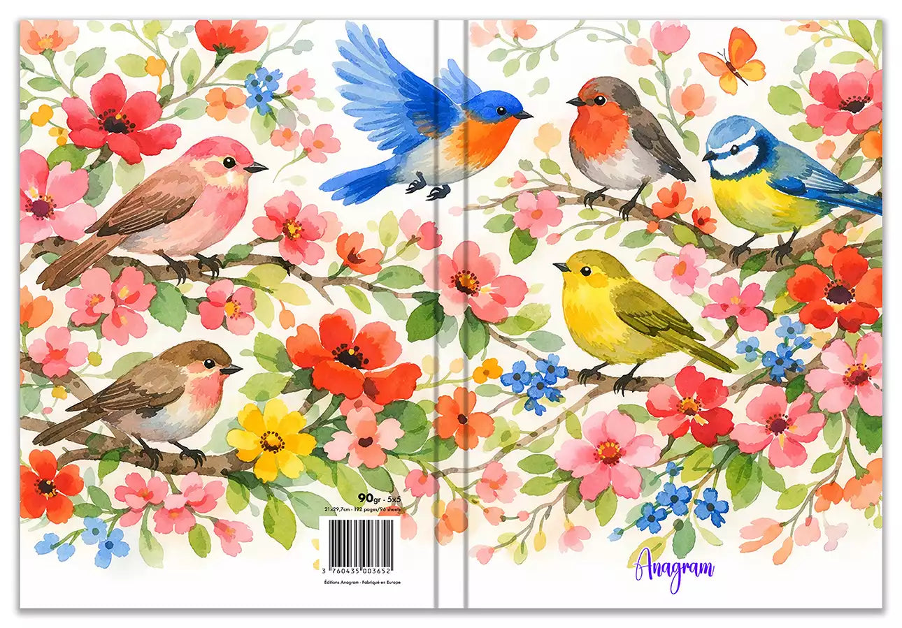 Modèle A4 : CLÉMENTINE