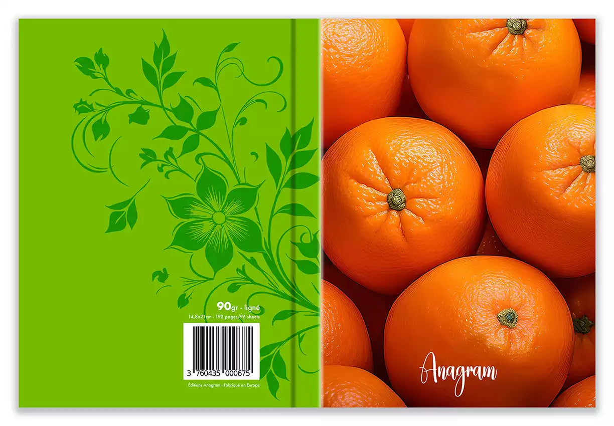 Modèle A5 : MELANIE