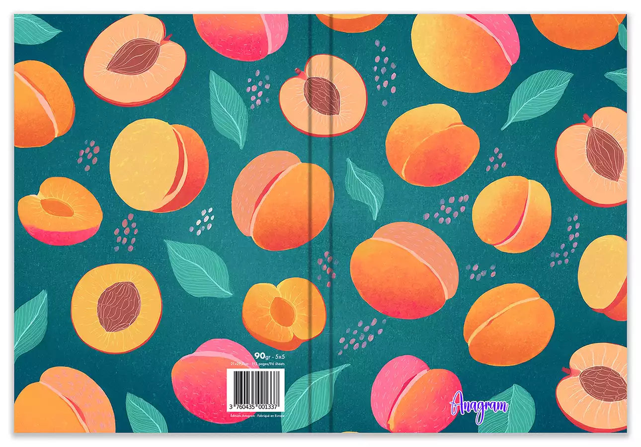 Modèle A4 : CÉLESTE