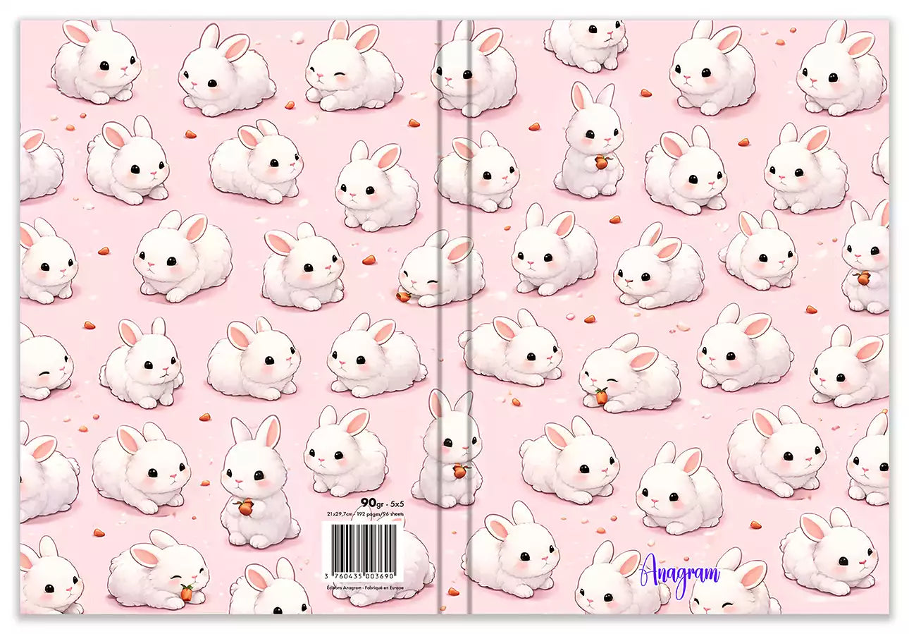 Modèle A4 : AMÉLIE