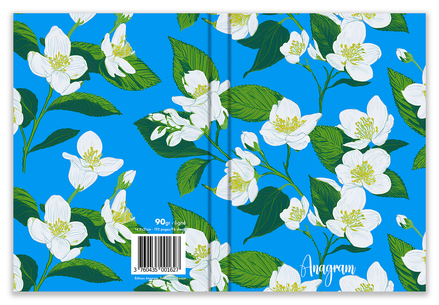 COLLECTION GENTIANE / A5 - VIOLAINE