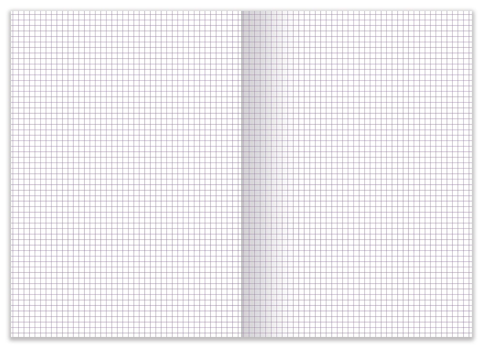 COLLECTION ANGELINA / A4 - IRIS