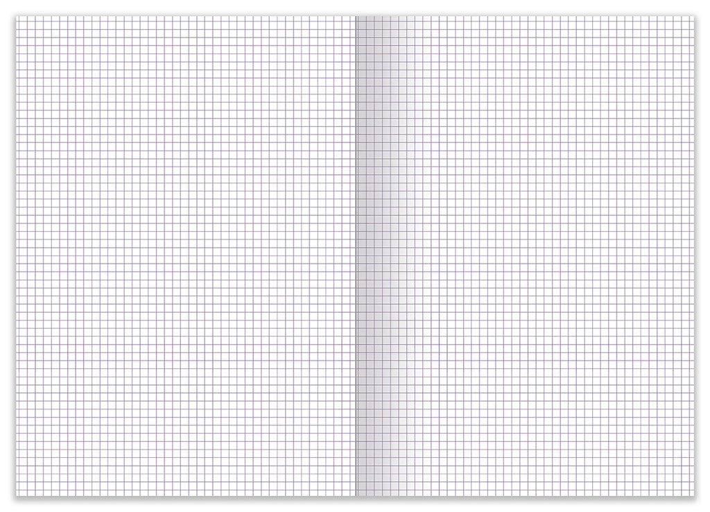 Modèle A4 : SYLVESTER