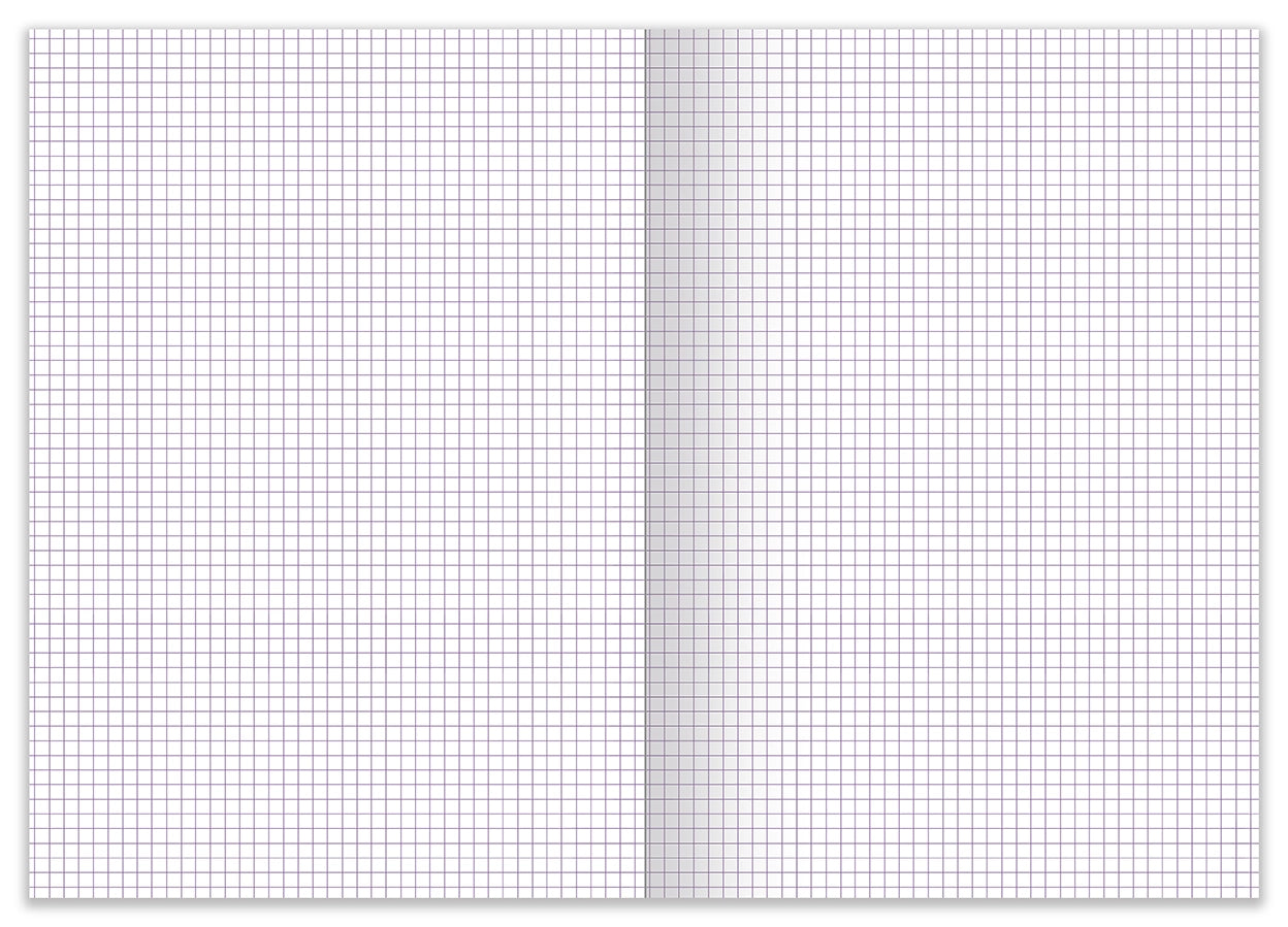 Modèle A4 : SYLVESTER